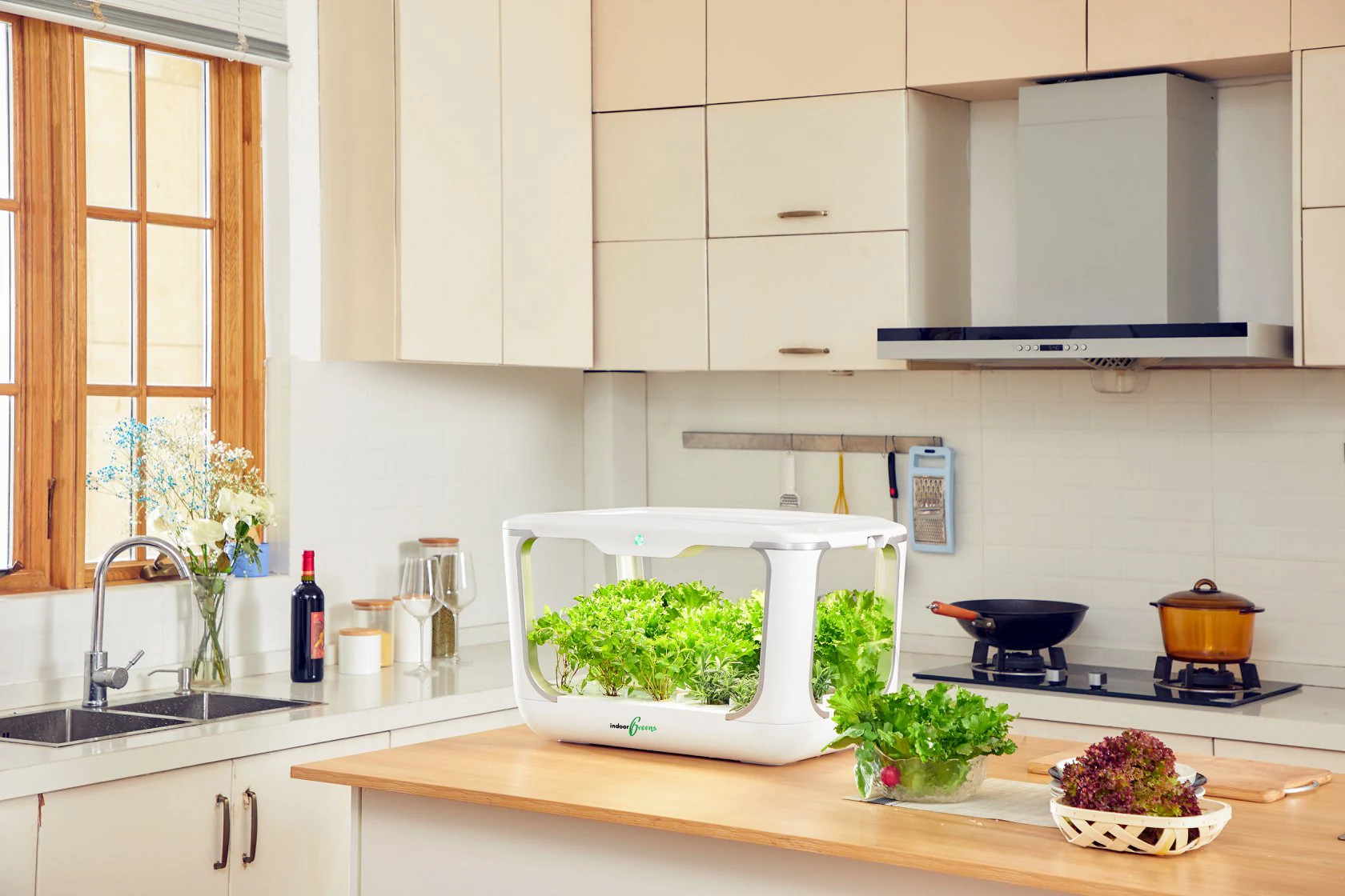 An indoorGreens hydroponic system growing leafy vegetables on a kitchen island