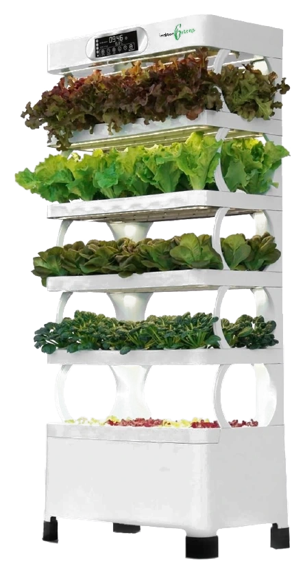 GrowBig