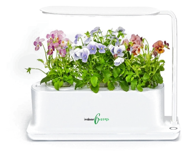 GrowMini