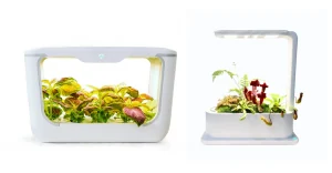 A Guide: What is Smart Gardening?