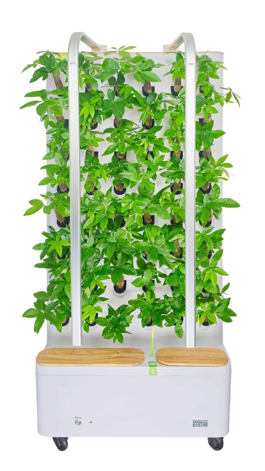 GrowLux - Image 5