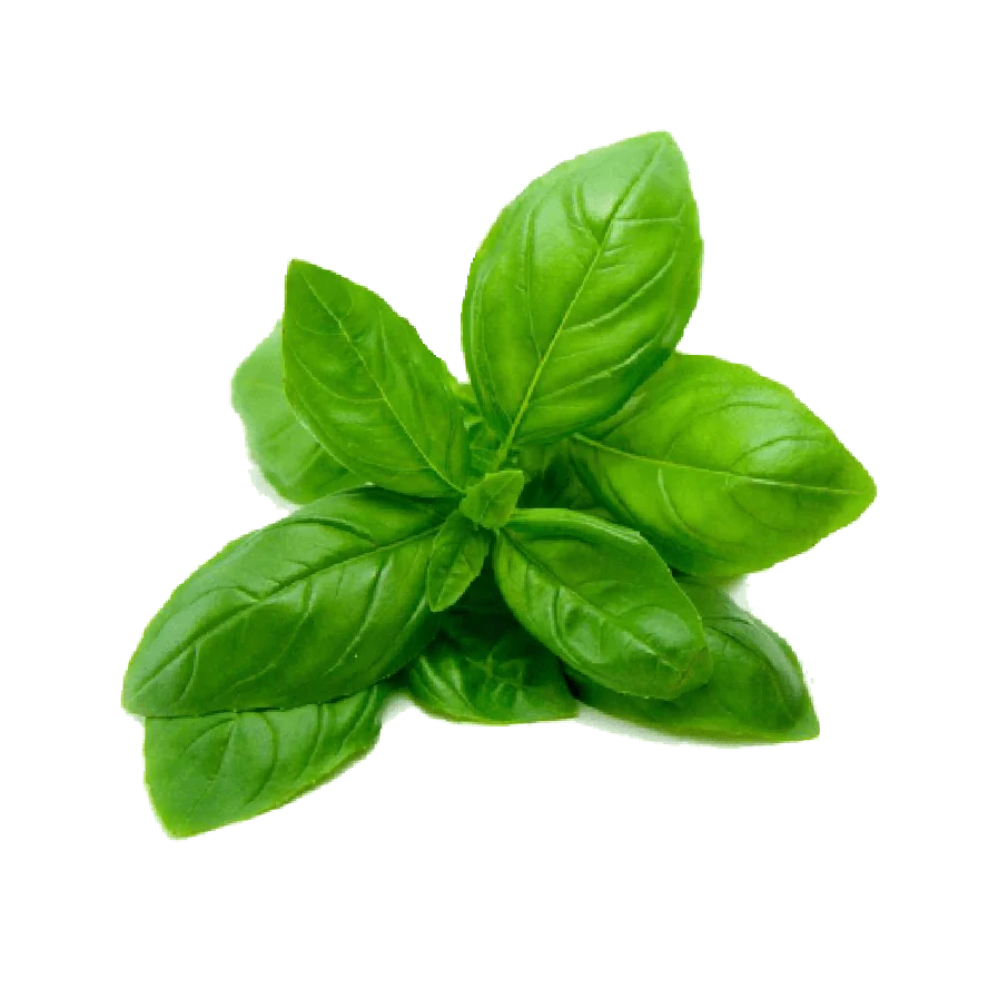 Thai Basil