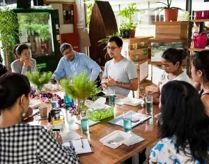 Hydroponics farms in Singapore