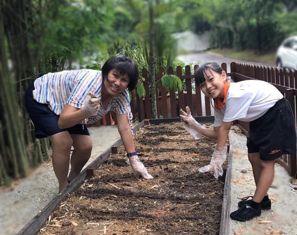 Vegetable Growing