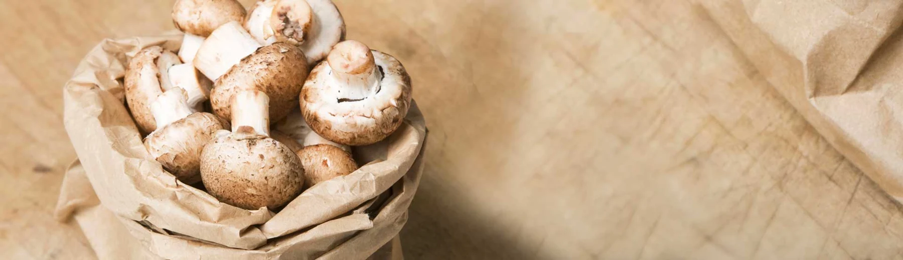 Mushroom Growing
