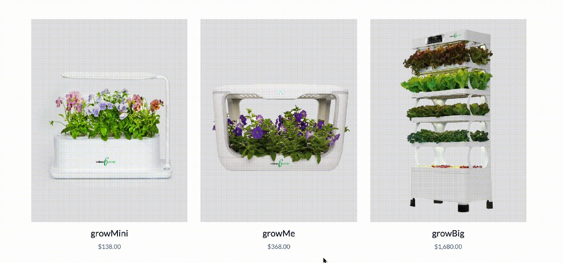 How to place an order?