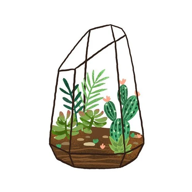 Terrarium