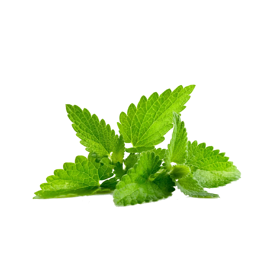 Peppermint