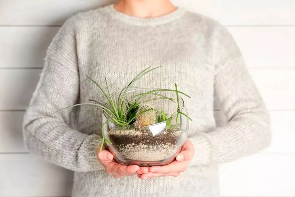 Terrarium