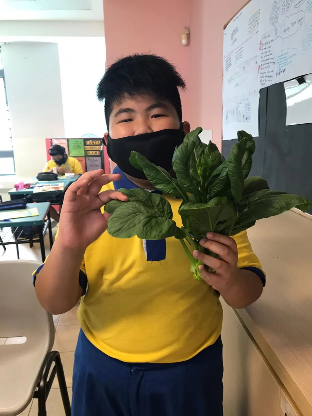 A student holding leafy greens harvested in the classroom